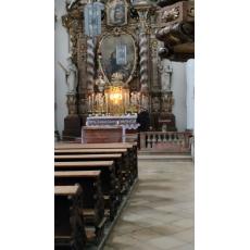 2025-47 Ausflug Regensburg.jpg